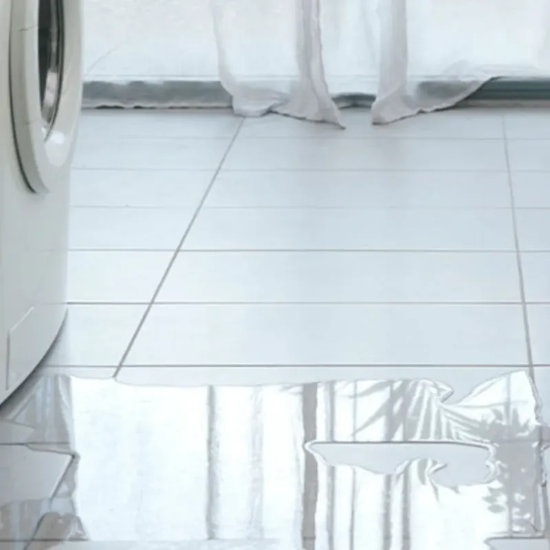 Appliance Leak Cleanup in London, AR