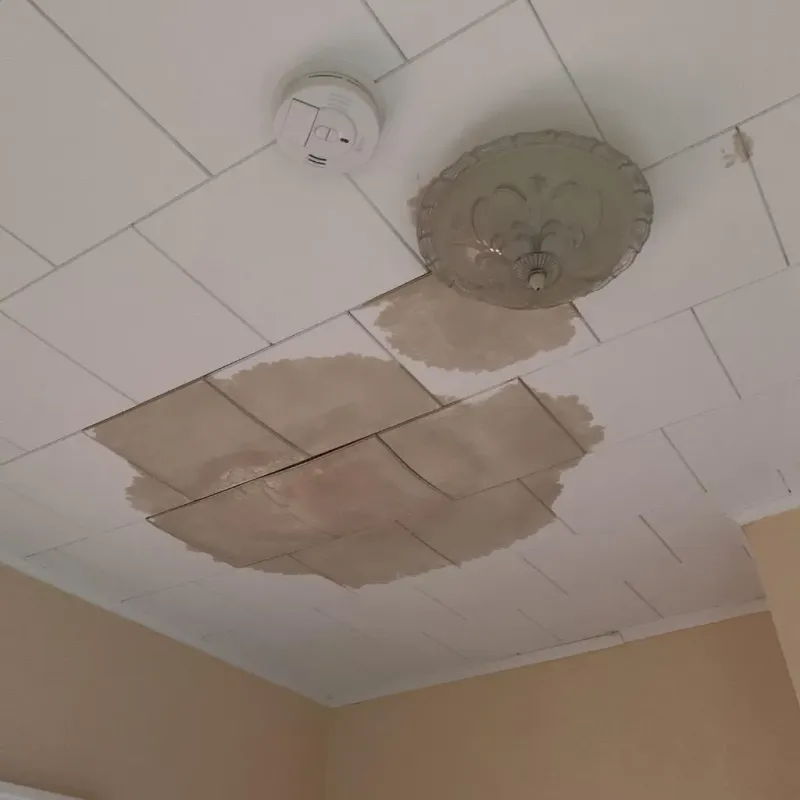 Ceiling Water Damage Repair in London, AR