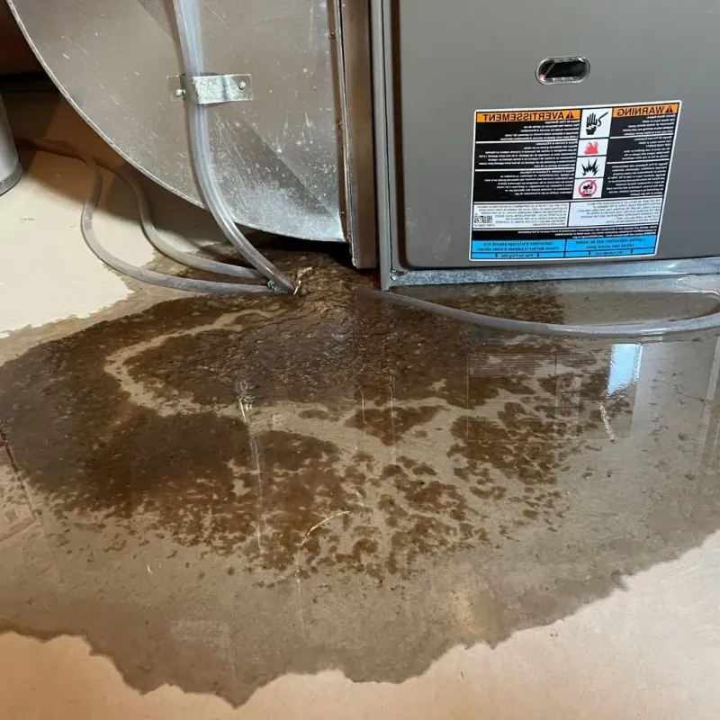 Pipe Burst and Leak Restoration in London, AR